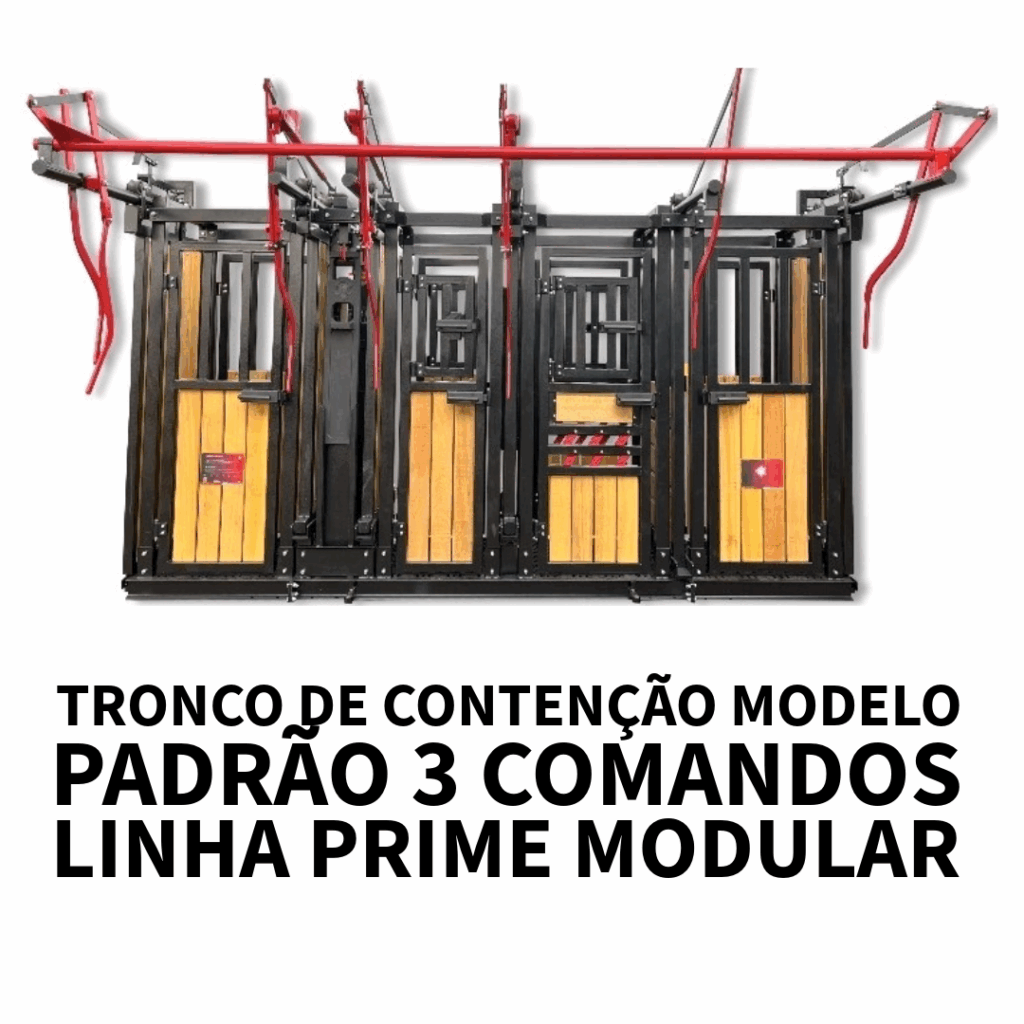 tronco-plus-primer-3 comandos