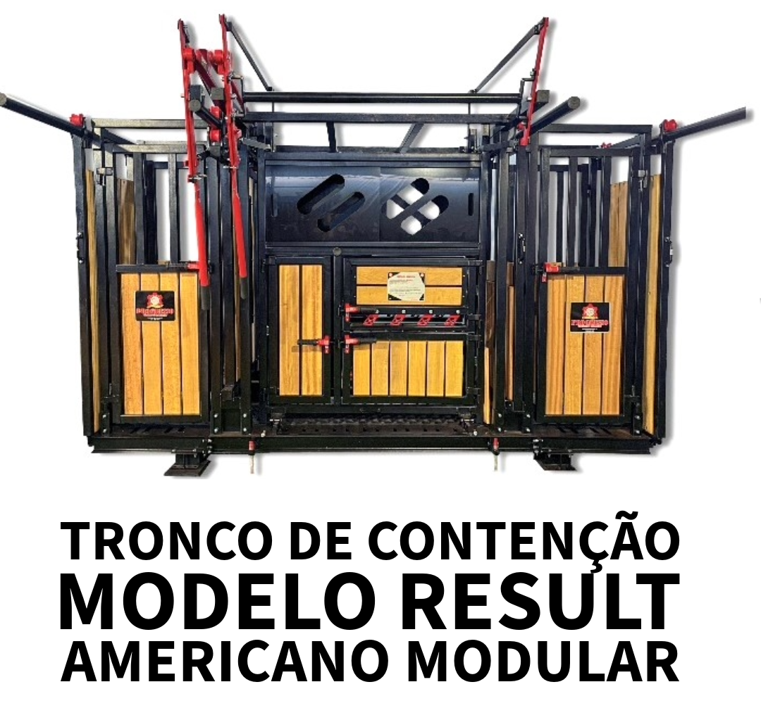 <img> (alt)="tronco-americano-result"